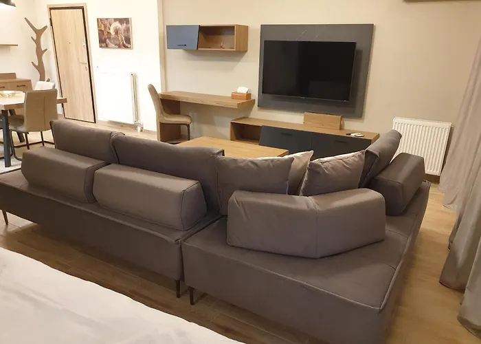 Olive Deluxe Apartment