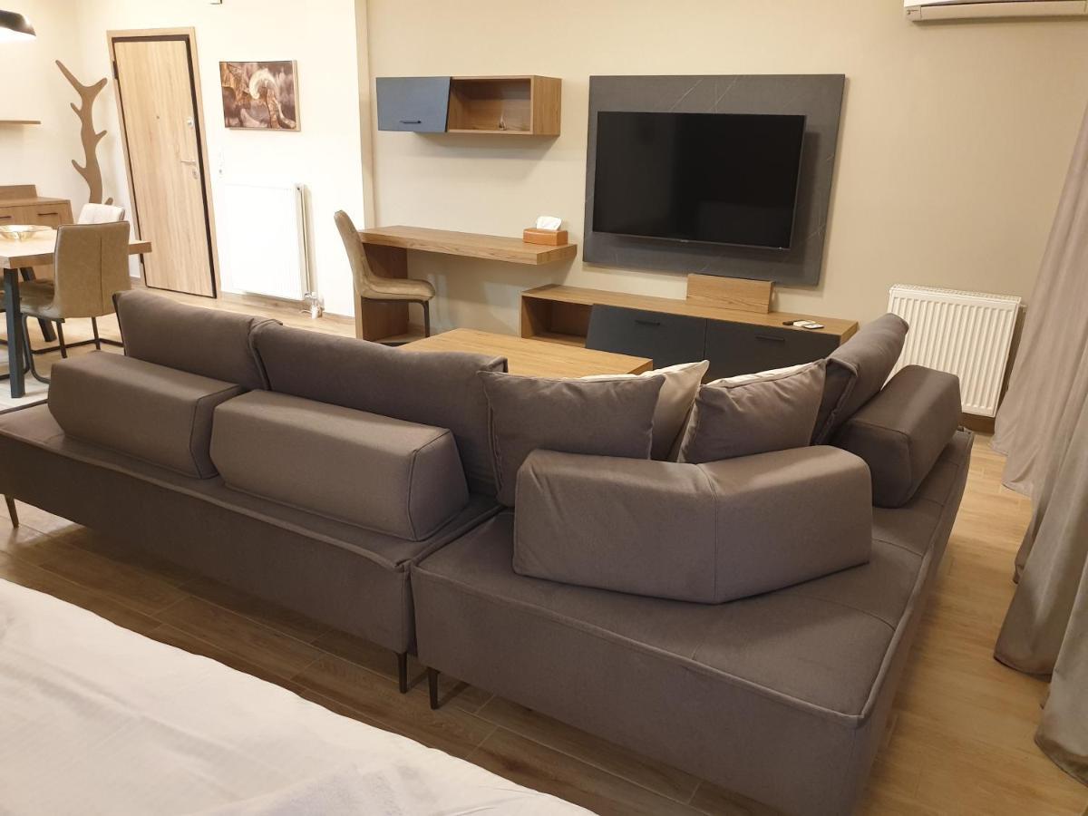 Apartment Olive Deluxe Karditsa