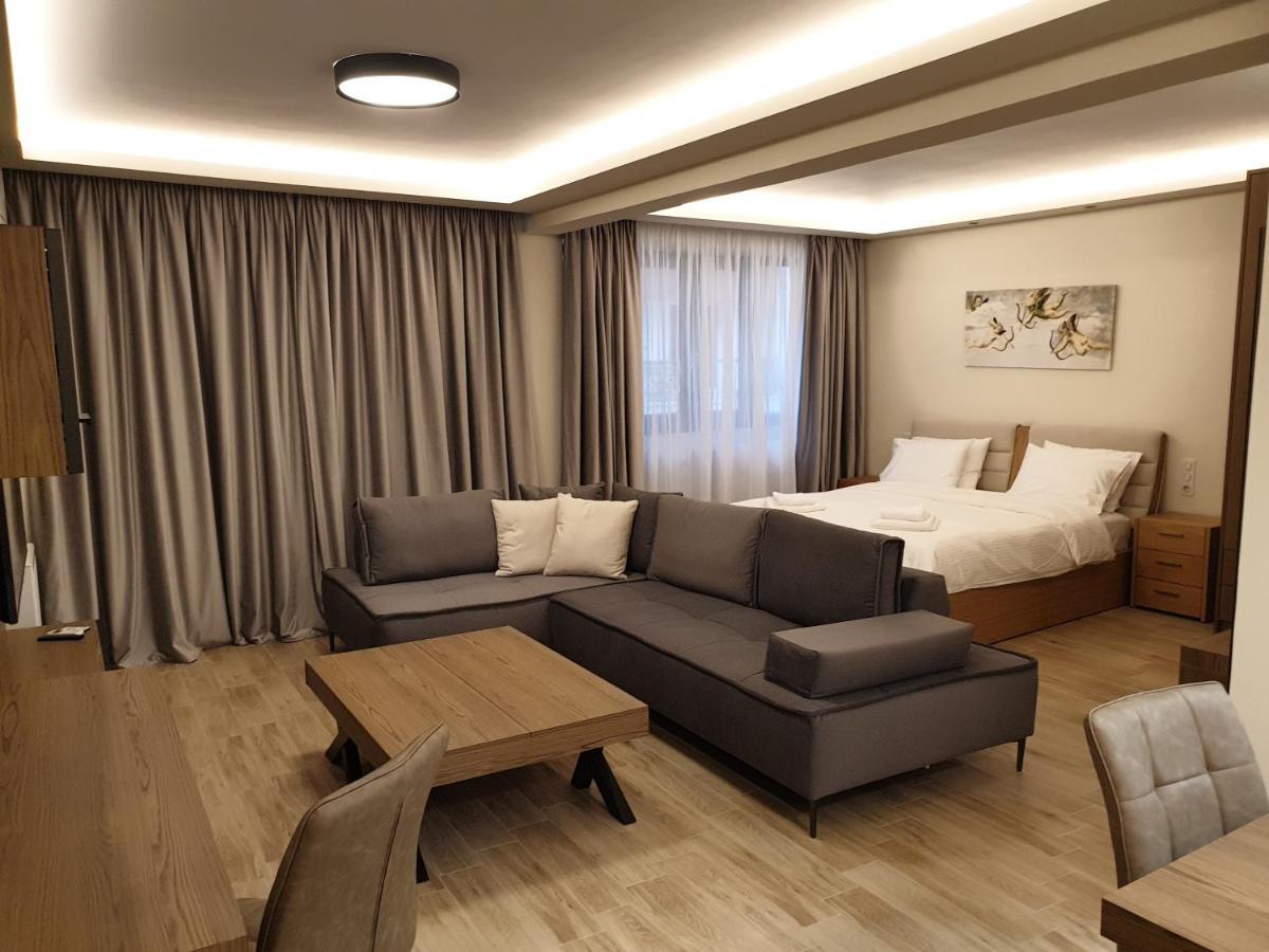 Olive Deluxe Apartment Karditsa