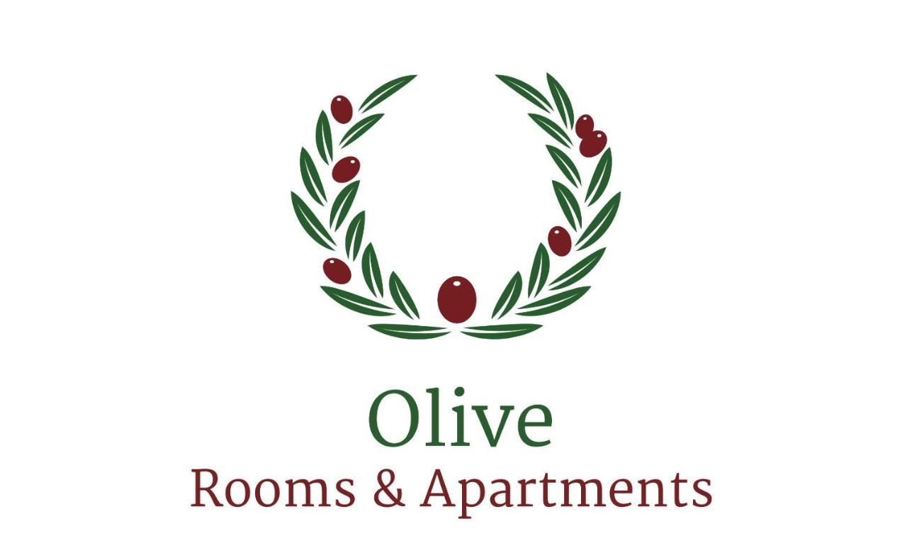Apartment Olive Deluxe Karditsa