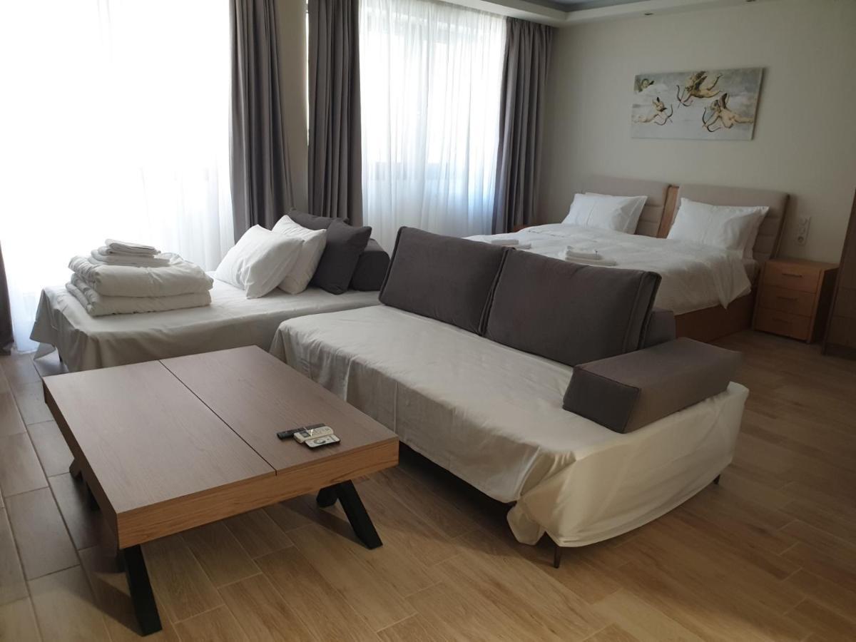 Apartment Olive Deluxe Karditsa